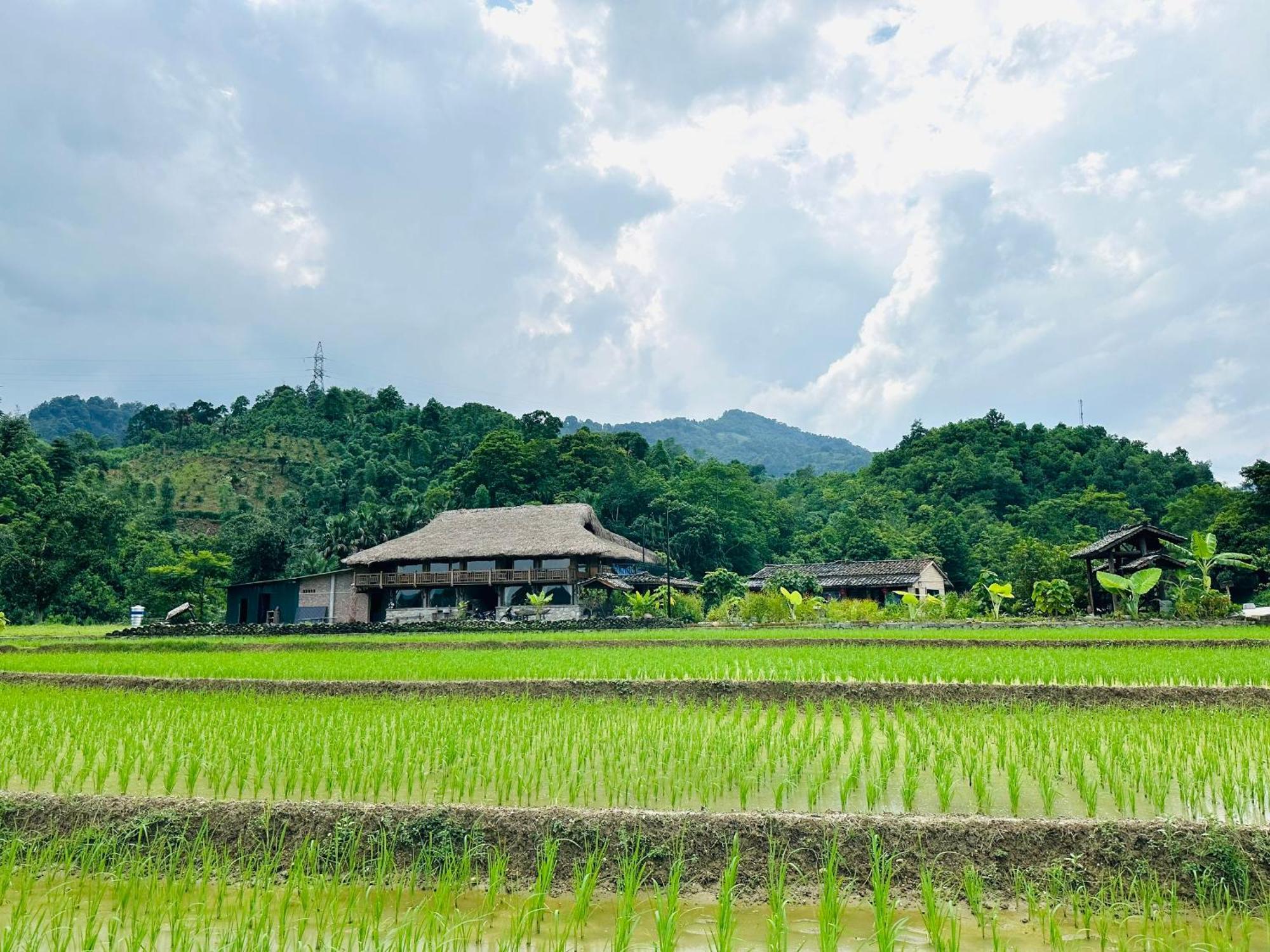 Ban Bang Ecolodge Tours & Motorbike Rental Ha Giang Kültér fotó